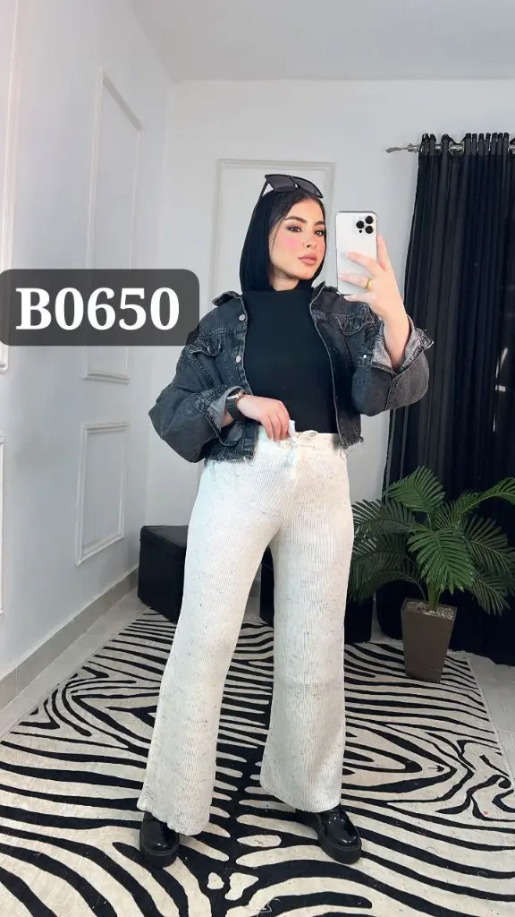 Code B0650 (5).webp