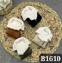 Code B1610.webp