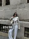 Code B1610 (4).webp