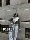 Code B1610 (6).webp