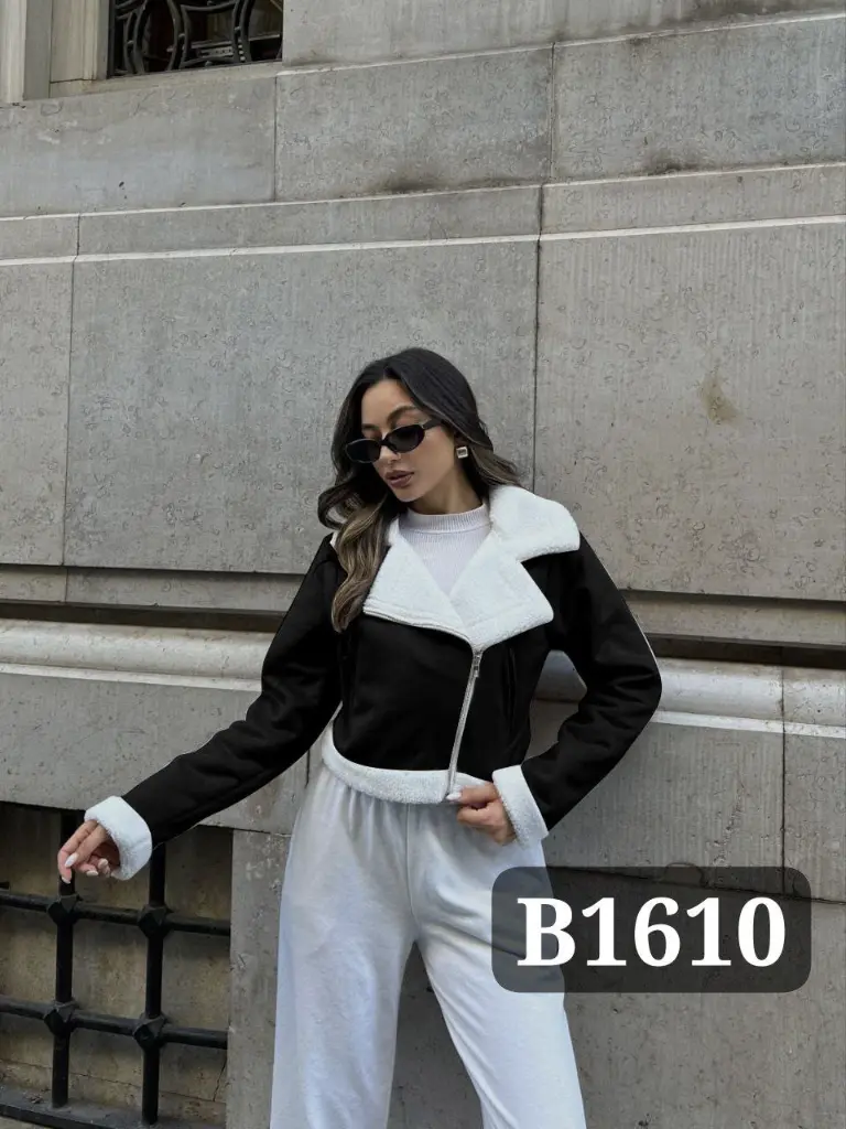 Code B1610 (3).webp