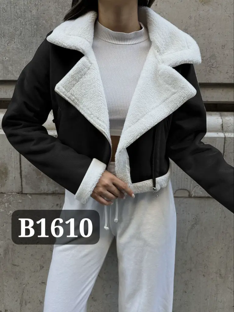 Code B1610 (2).webp