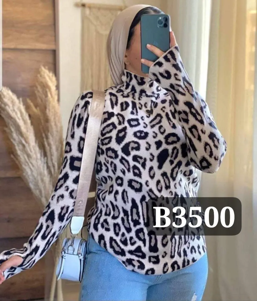 Code B3500 (2).webp