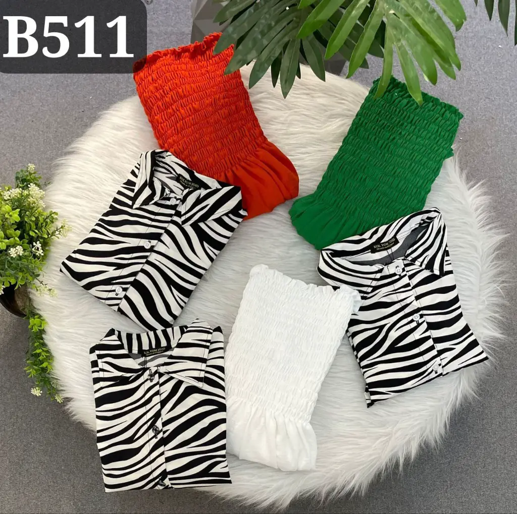 Code B511.webp