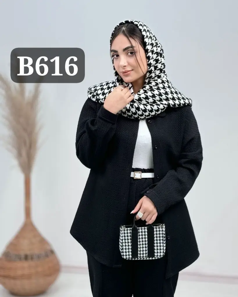 Code B616.webp