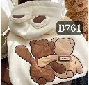 Code B761 (2).webp