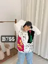Code B766.webp