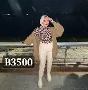 هاف كول تايجر